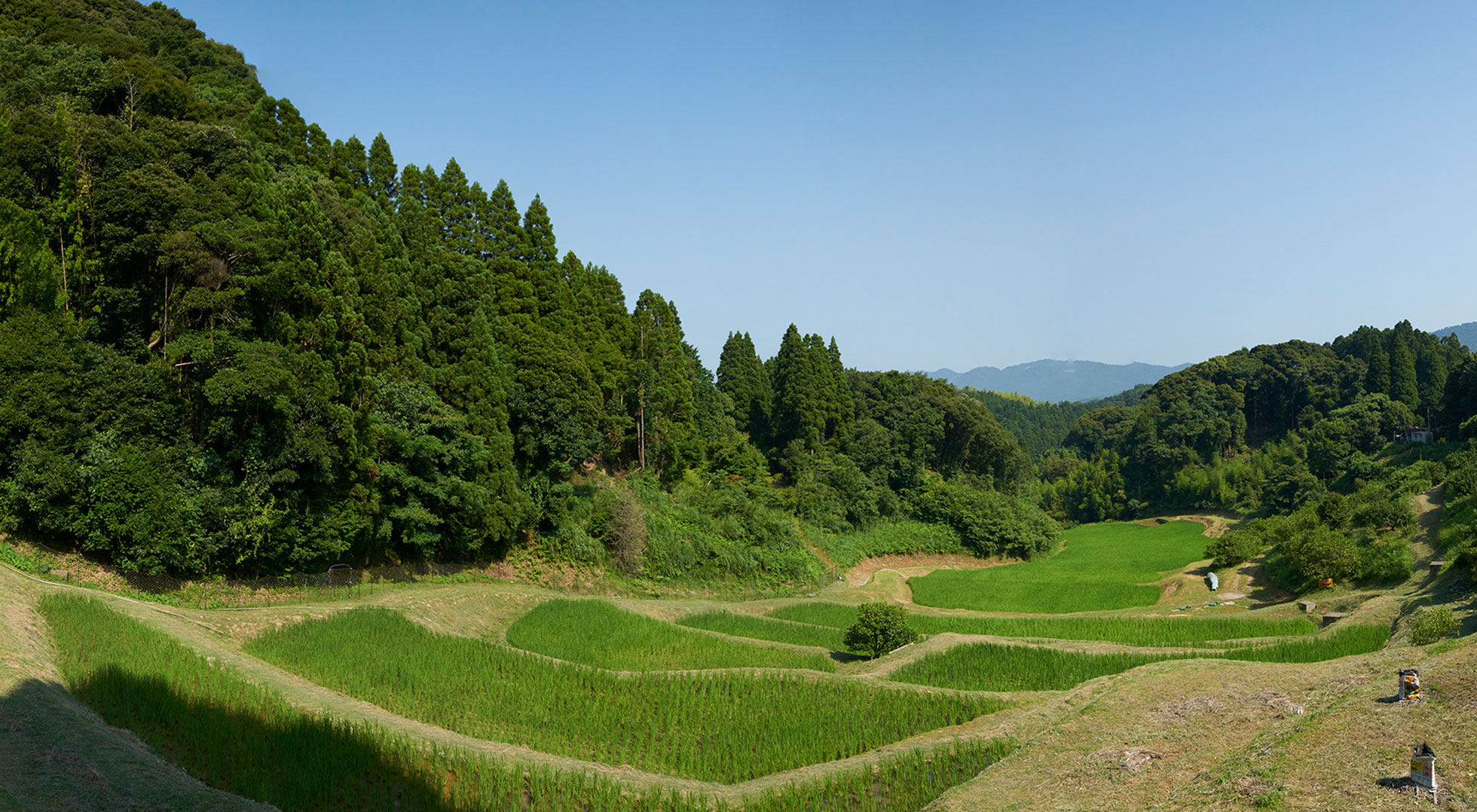 Tanada (rice terraces)